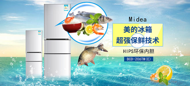 办理假新斯科舍省身份证